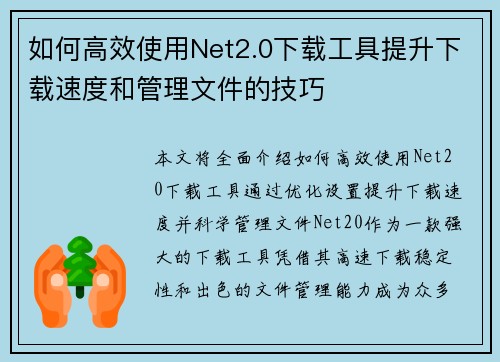 如何高效使用Net2.0下载工具提升下载速度和管理文件的技巧